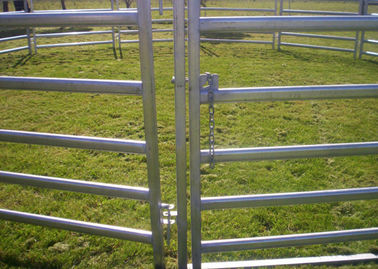 1.6 X 2.0M Galvanized Cattle Yard Panels Lightweight For Easy Handling
