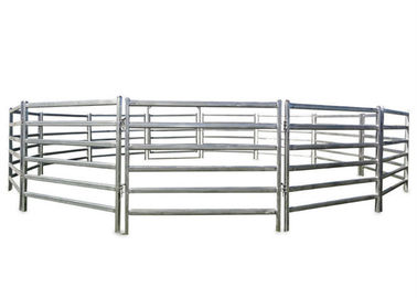 1.6 X 2.0M Galvanized Cattle Yard Panels Lightweight For Easy Handling
