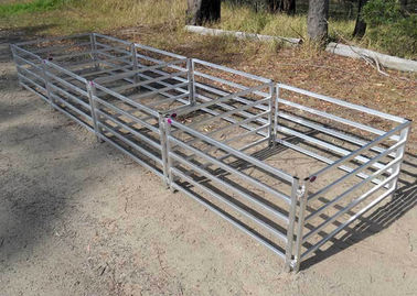 1.6 X 2.0M Galvanized Cattle Yard Panels Lightweight For Easy Handling