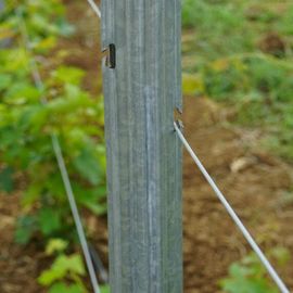 Garden Decoration Vineyard Fence Posts , Orchard Stakes Easy Installation