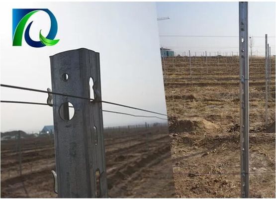 3.0mm U Tipi 275G Çinko Metal Orchard Kafes Post
