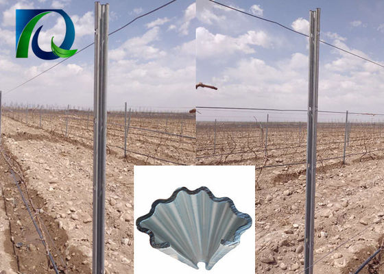 C Tipi 275G / M2 Sıcak Galvanizli Metal Bağ Kafes Direkleri