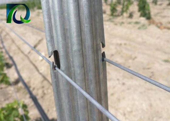 1.6-3.0MM Tel İçin Çelik Metal 1.8m Bağ Kafes Mesajları